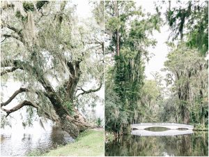 magnolia plantation charleston south carolina wedding venue